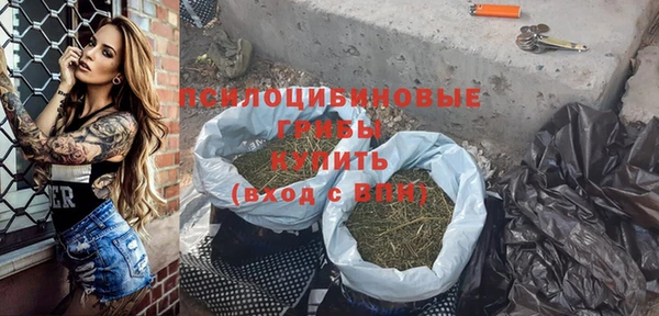 альфа пвп Надым