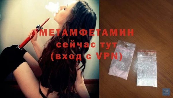 прущие грибы Михайловск