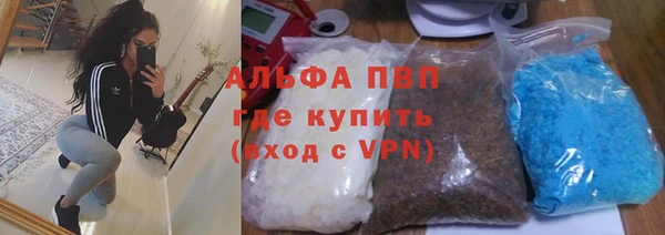 прущие грибы Майский