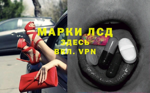 ECSTASY Бородино