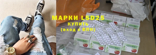 прущие грибы Майский