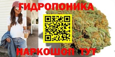 прущие грибы Ливны