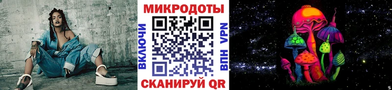 Псилоцибиновые грибы Cubensis  Сургут 