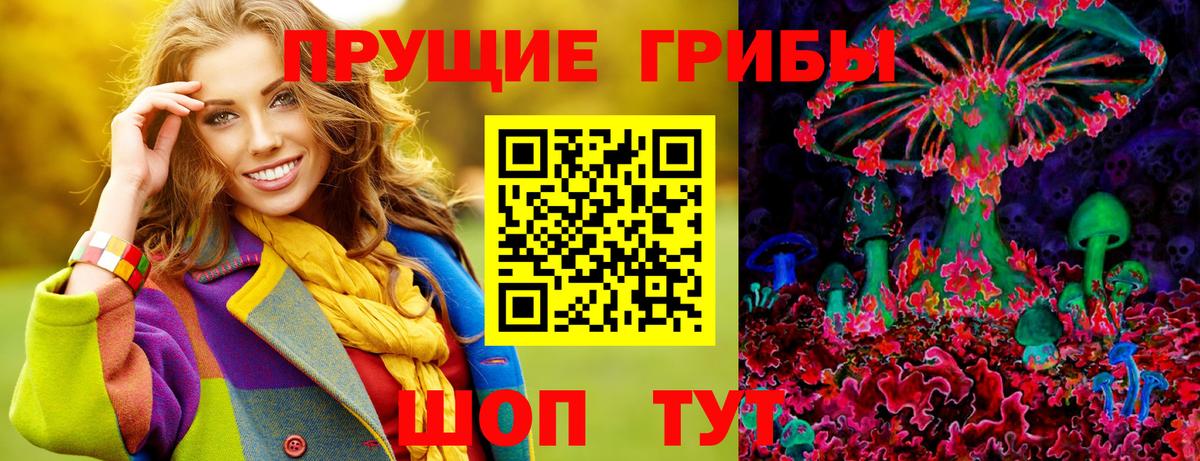 Псилоцибиновые грибы Cubensis  Вход с VPN  как найти закладки  Сургут  Псилоцибиновые грибы Magic Shrooms 
