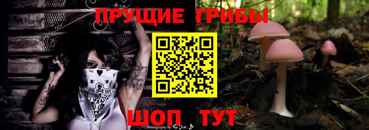 Галлюциногенные грибы мухоморы Сургут